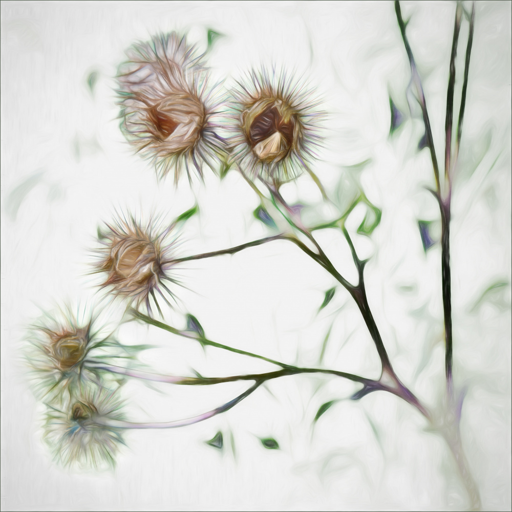 Dont touch me... von Gilbert Claes