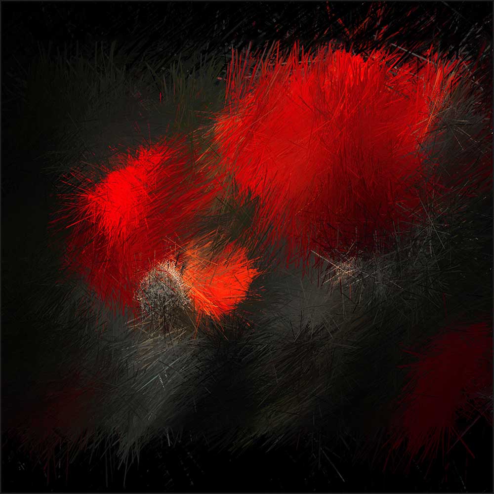 Feuerwerk in der Natur von Gilbert Claes