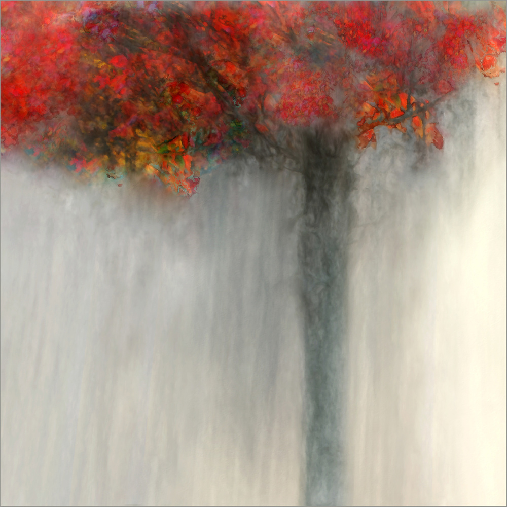 fiery autumn von Gilbert Claes