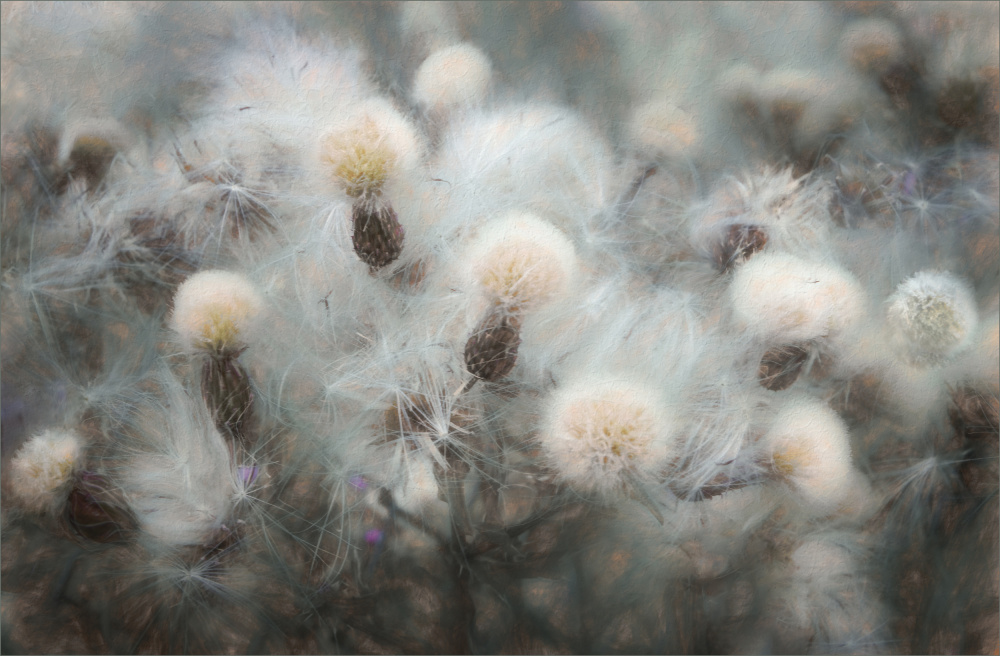 Free Fall von Gilbert Claes