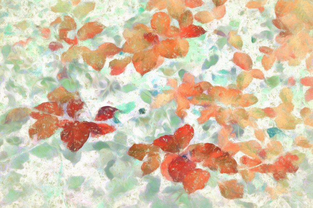 frivolous leaves von Gilbert Claes