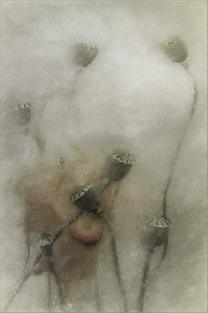 hopeful future von Gilbert Claes