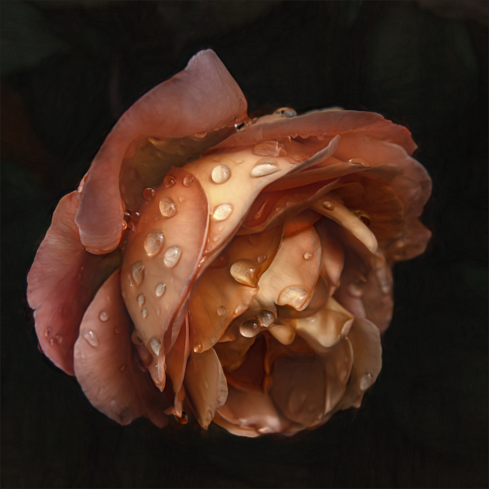 Raindrops are falling on my head... von Gilbert Claes