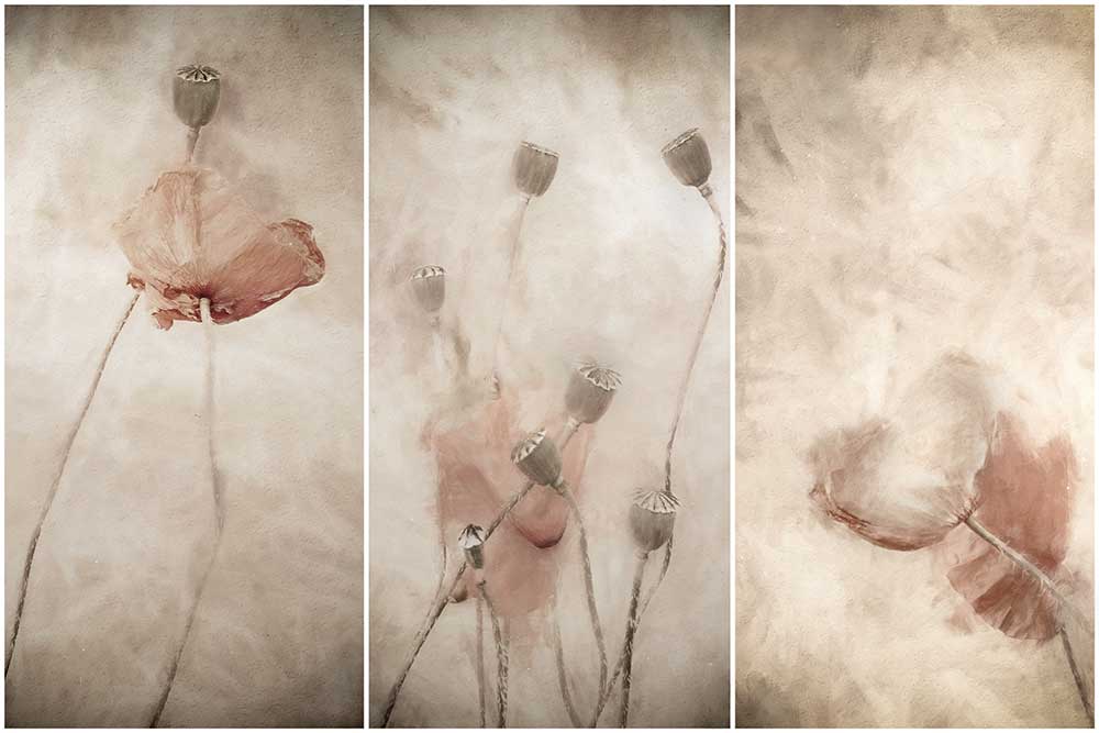 sanft im Wind schwanken von Gilbert Claes