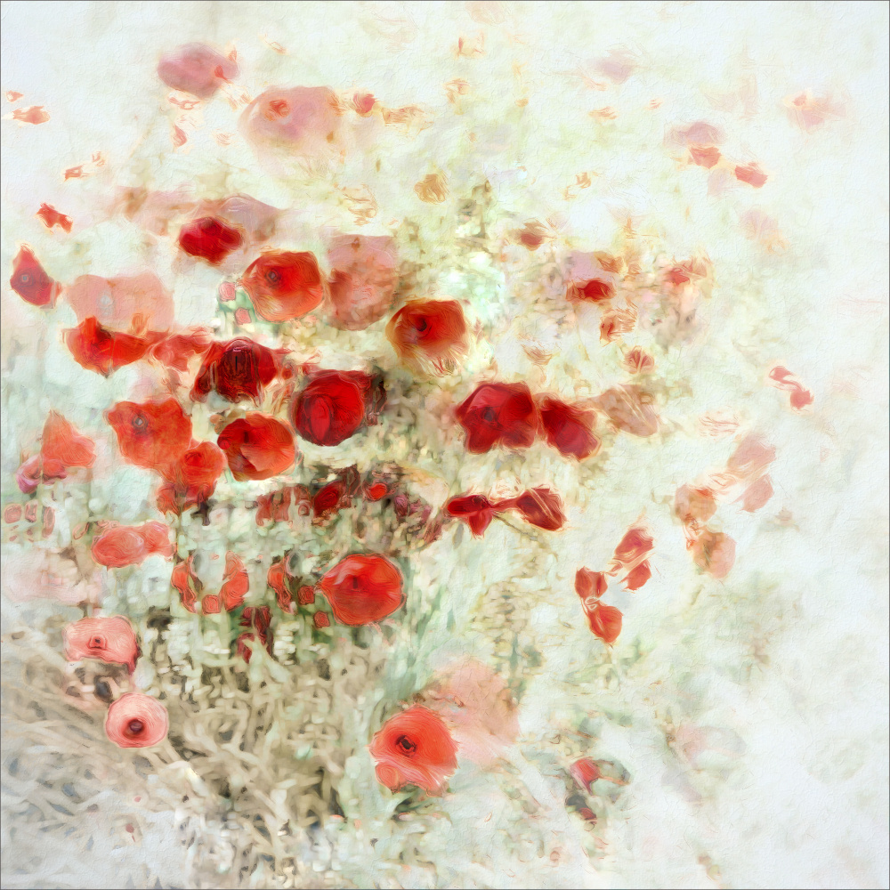 Summer tribute von Gilbert Claes