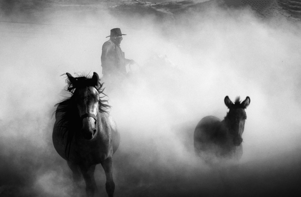 escape von Gilcan Mete