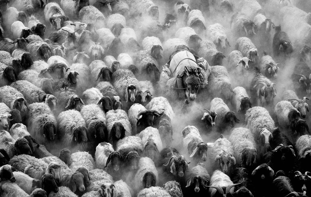 numerous von Gilcan Mete