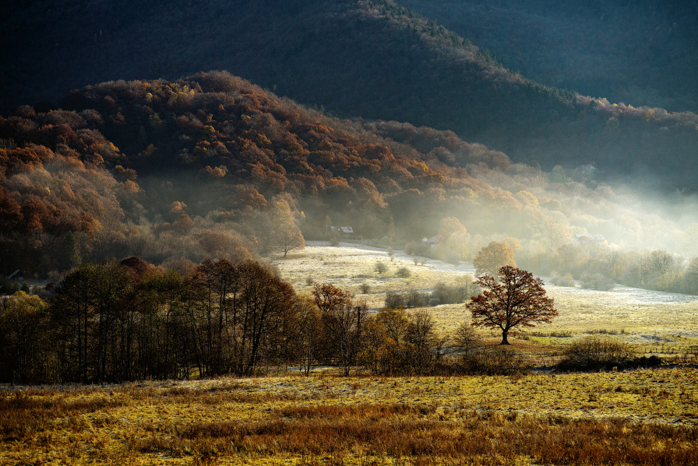 Keep the magic von Gina Buliga