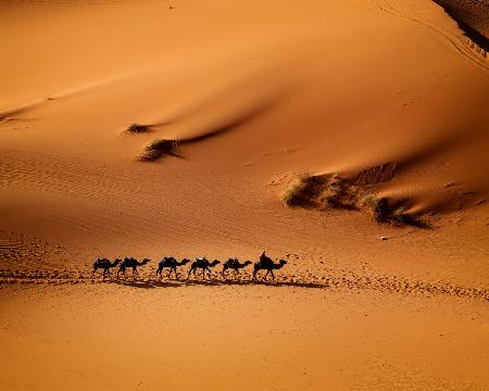 Morocco - the silent of earth