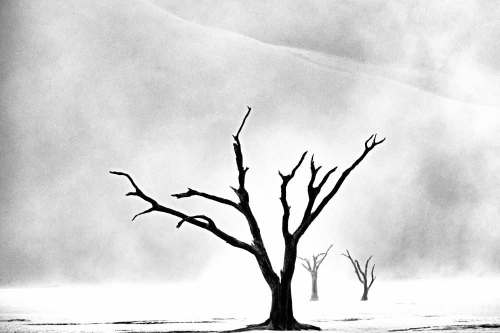 Namibia: The Spirit of Wilderness von Gina Buliga