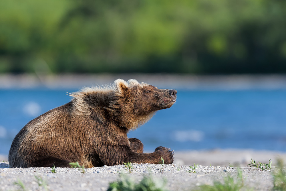 Enjoying the first rays of sun von Giorgio Disaro
