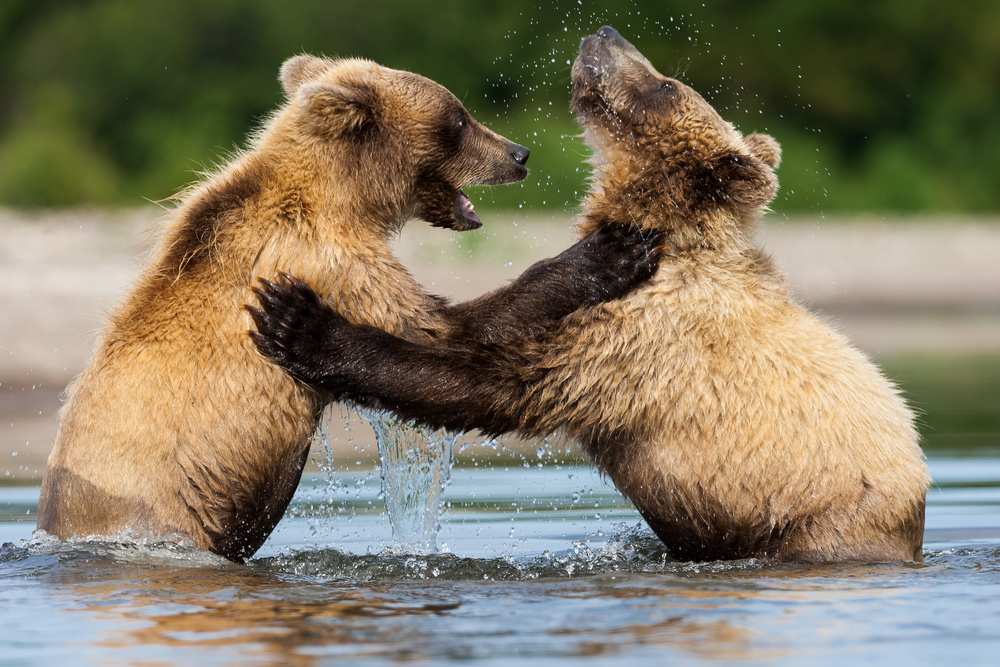 Games of youth von Giorgio Disaro