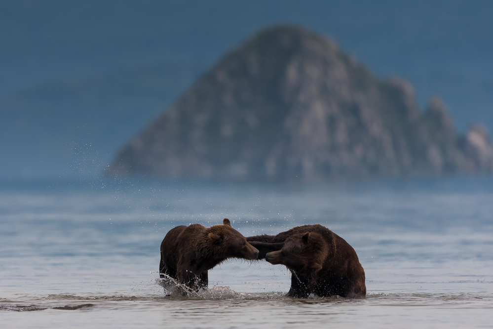 Water fight von Giorgio Disaro