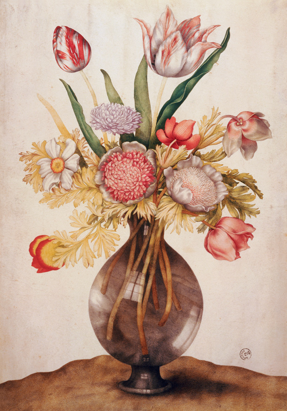 G.Garzoni, Tulpen, Mohn u.Päonie von Giovanna Garzoni