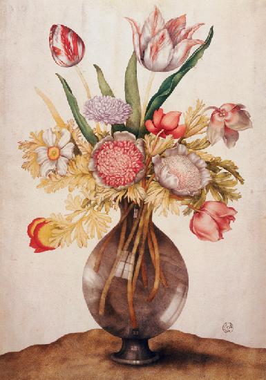 G.Garzoni, Tulpen, Mohn u.Päonie