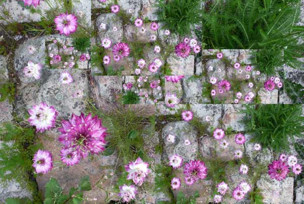 Unnatural 60 von  Giovanni  Cafagna