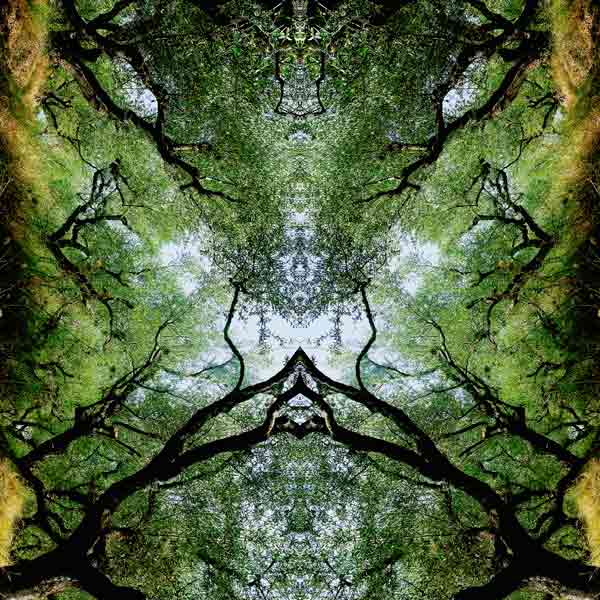 Unnatural 75 von  Giovanni  Cafagna