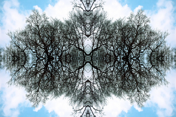 Unnatural 100 von  Giovanni  Cafagna