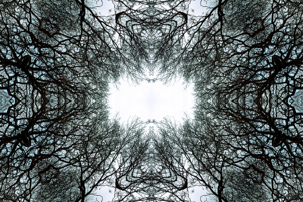 Unnatural 101 von  Giovanni  Cafagna