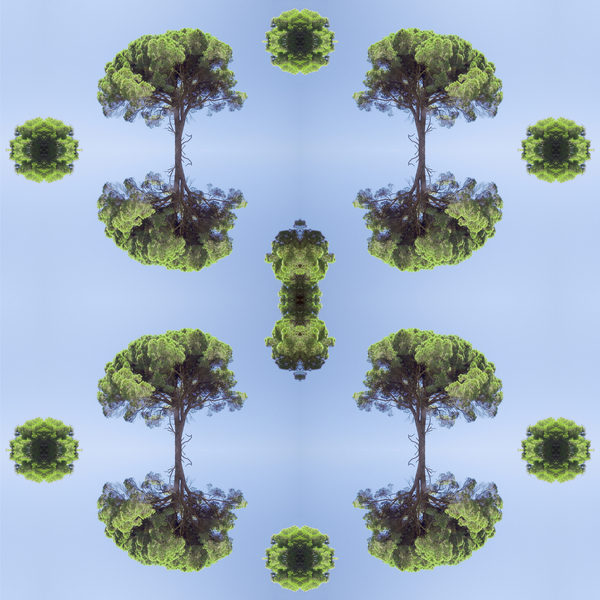 Unnatural 118 von  Giovanni  Cafagna