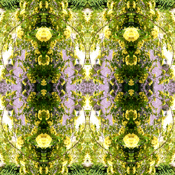 Unnatural 150 von  Giovanni  Cafagna