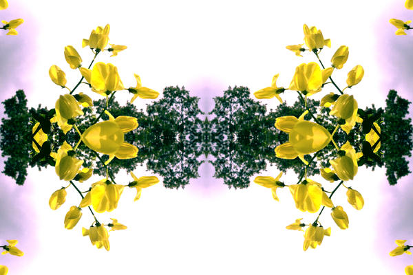 Unnatural 151.2 von  Giovanni  Cafagna