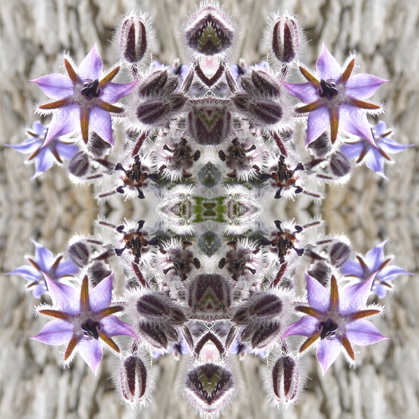 Unnatural 159 von  Giovanni  Cafagna