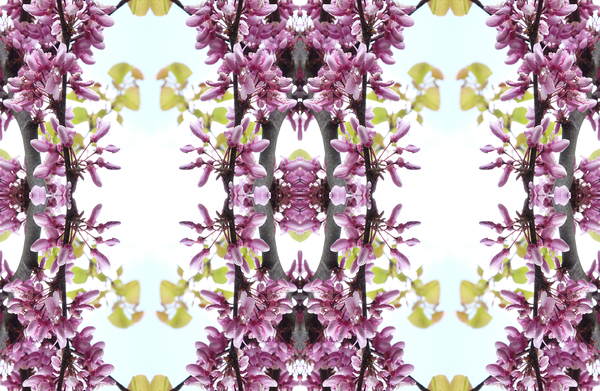 Unnatural 160.3 von  Giovanni  Cafagna