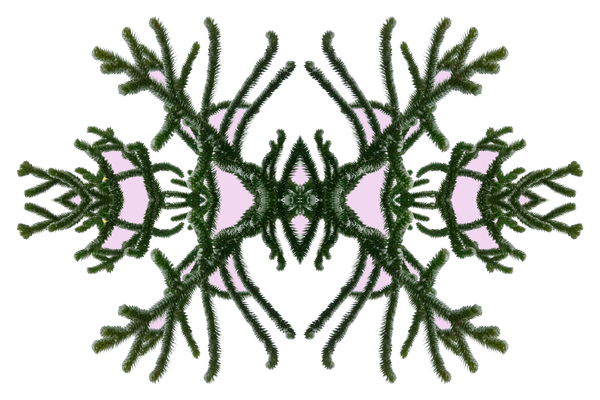 Unnatural 168 von  Giovanni  Cafagna