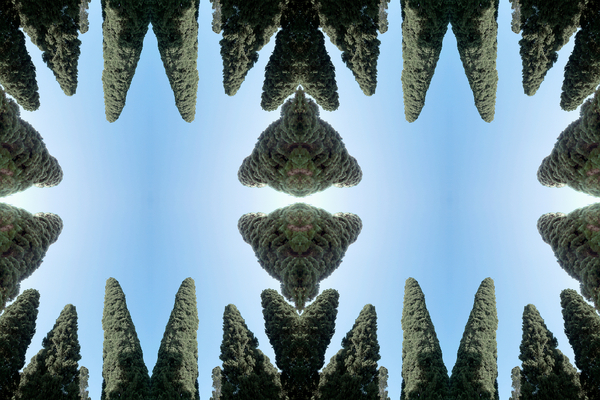 Unnatural 169 von  Giovanni  Cafagna