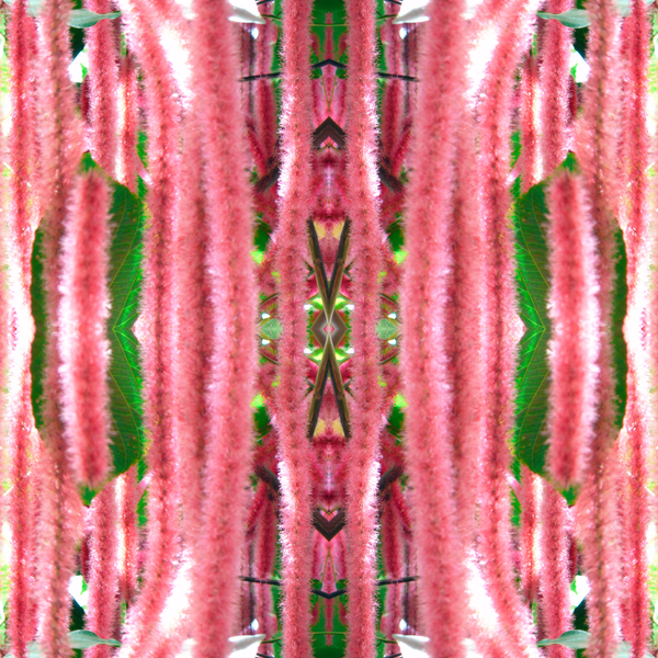 Unnatural 172 von  Giovanni  Cafagna