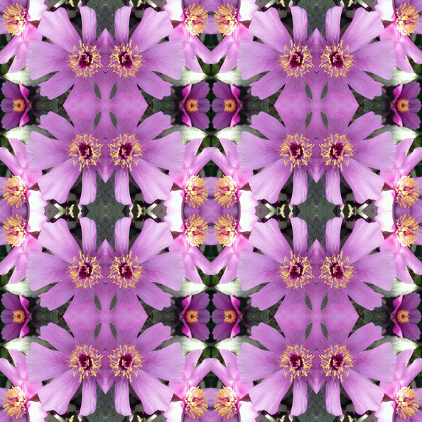 Unnatural 176.1 von  Giovanni  Cafagna