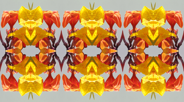 Unnatural 190 von  Giovanni  Cafagna