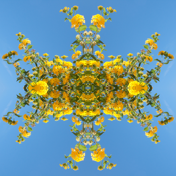 Unnatural 193 von  Giovanni  Cafagna