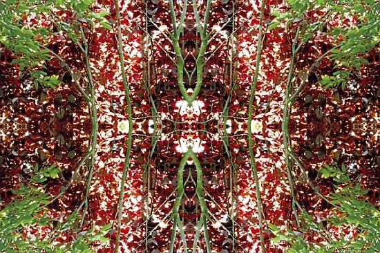 Unnatural 23 von  Giovanni  Cafagna