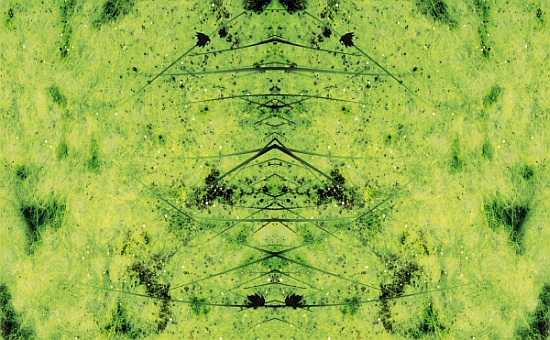 Unnatural 3 von  Giovanni  Cafagna