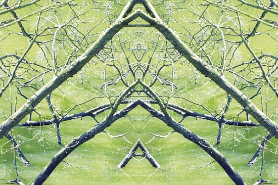 Unnatural 30 von  Giovanni  Cafagna