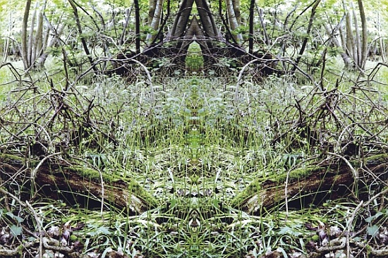 Unnatural 33 von  Giovanni  Cafagna