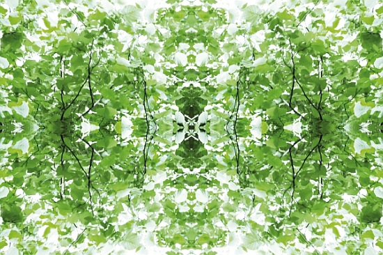 Unnatural 34 von  Giovanni  Cafagna