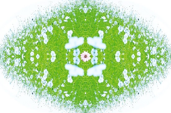 Unnatural 37 von  Giovanni  Cafagna