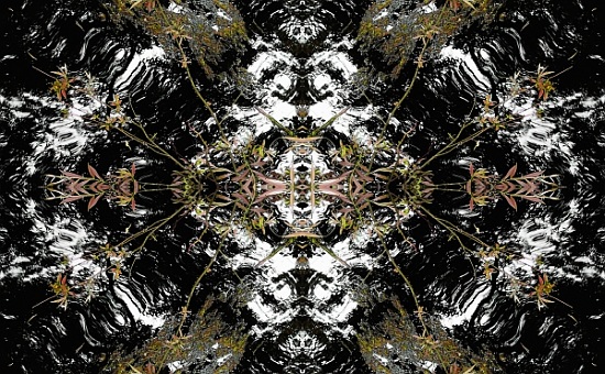 Unnatural 37 von  Giovanni  Cafagna