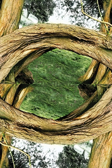 Unnatural 37 von  Giovanni  Cafagna