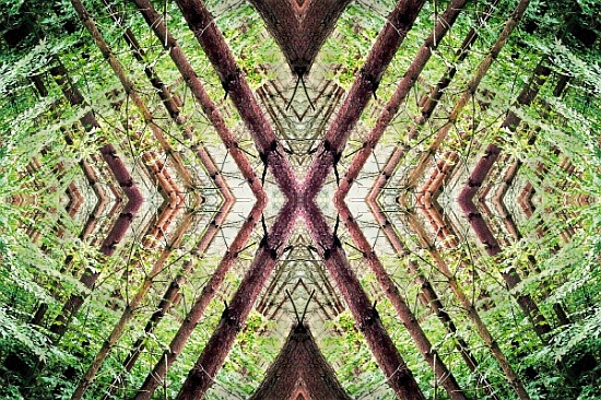 Unnatural 37 von  Giovanni  Cafagna