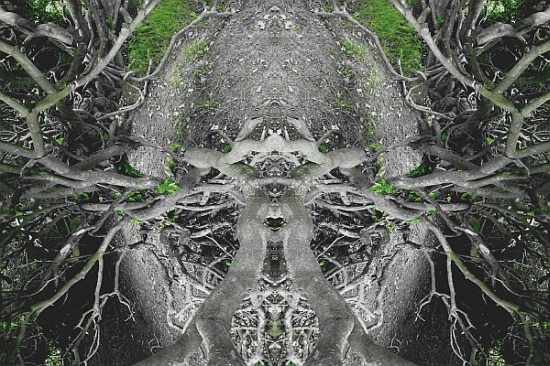 Unnatural 42 von  Giovanni  Cafagna