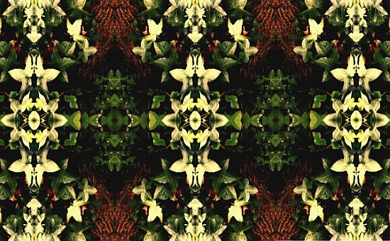 Unnatural 43 von  Giovanni  Cafagna