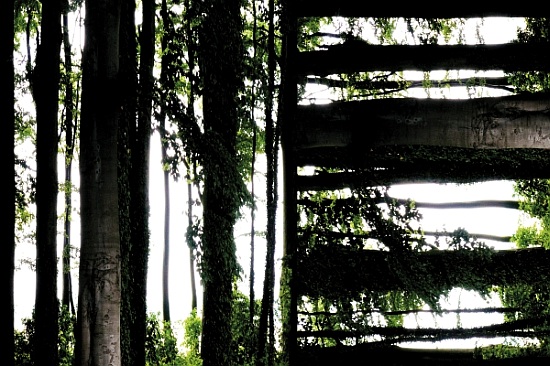 Unnatural 55 von  Giovanni  Cafagna