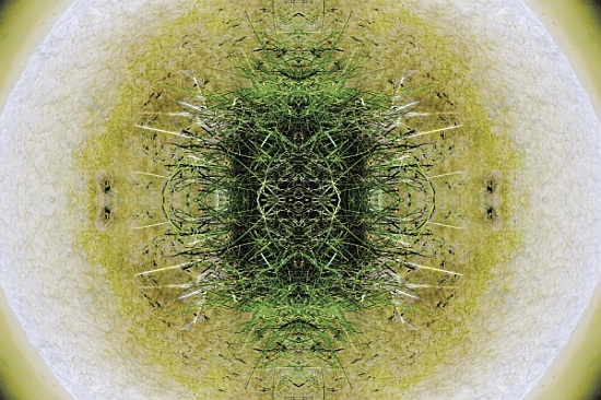 Unnatural 6.1 von  Giovanni  Cafagna