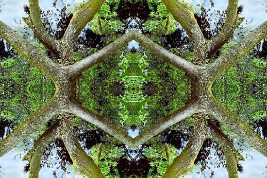 Unnatural 65.2 von  Giovanni  Cafagna