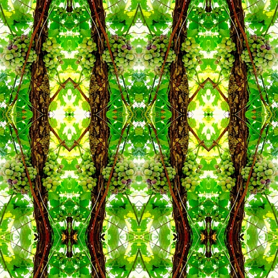 Unnatural 74 von  Giovanni  Cafagna