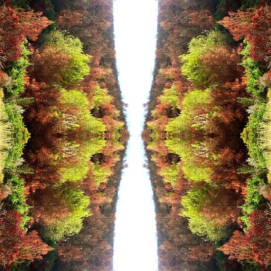 Unnatural 77 von  Giovanni  Cafagna